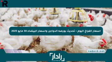 أسعار الفراخ اليوم – تحديث بورصة الدواجن وأسعار البيضاء 30 مايو 2025